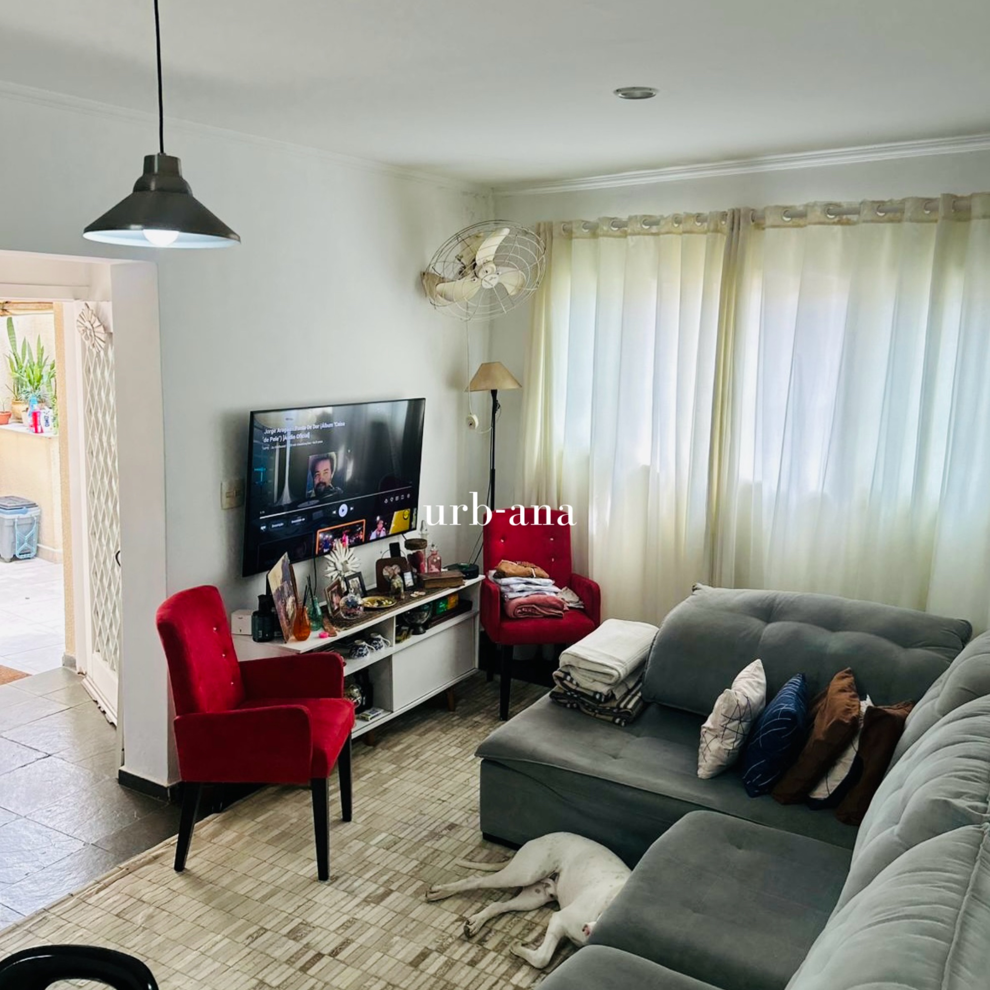 19_IMOVEL_3_APARTAMENTOS.jpg
