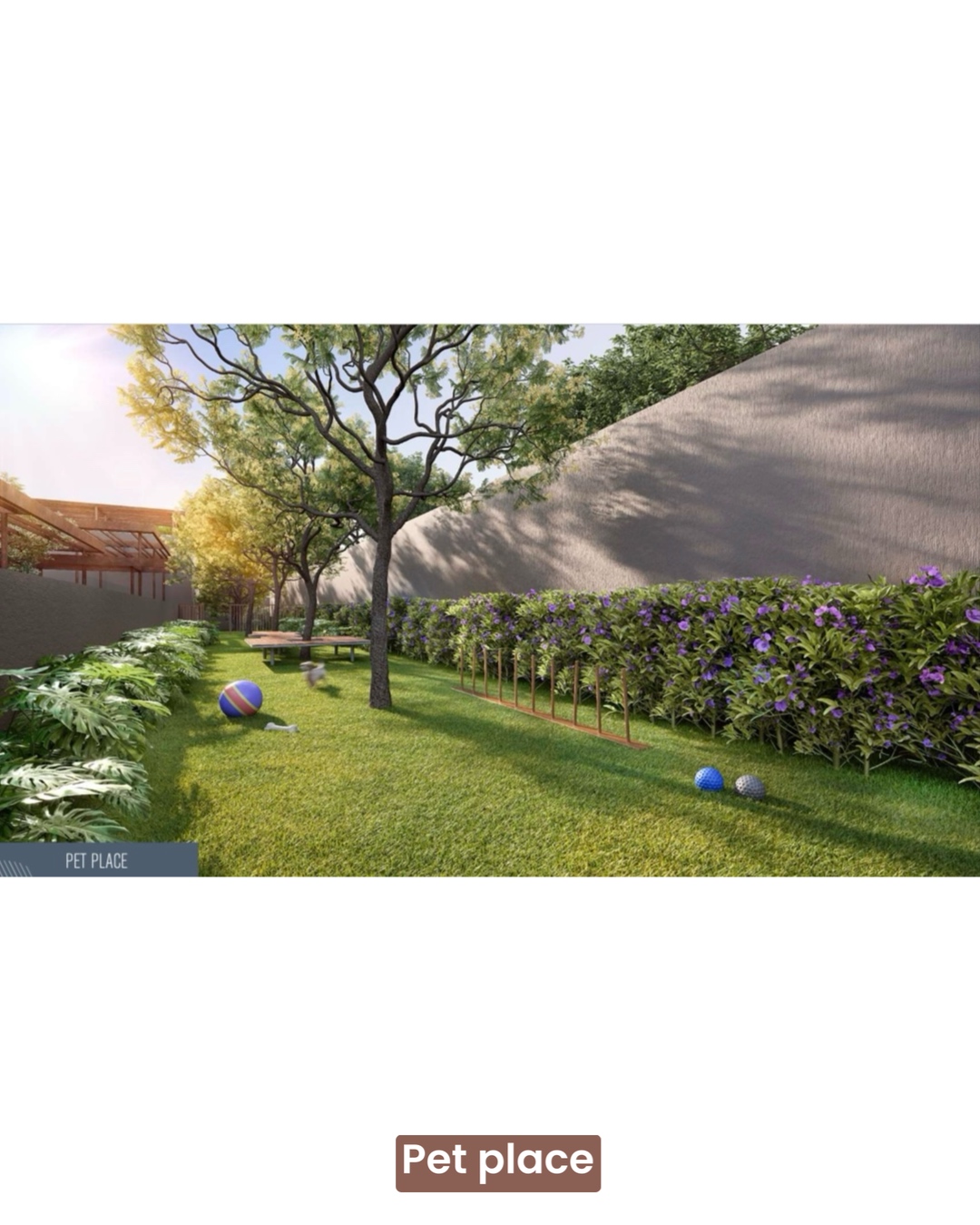 15_PET_PLACE.jpg